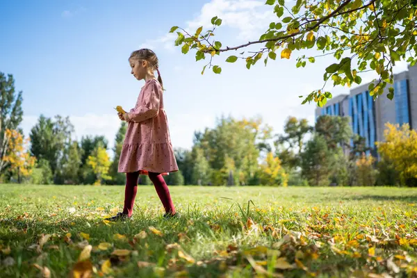 Fetița Fericită Colectează Joacă Frunzele Toamnei Căzute Parcul Toamnă Sezonul Fotografie de stoc