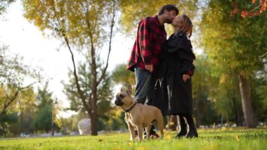 Bir çift, sonbahar parkında köpekleriyle romantik bir anı paylaşıyor. Sonbahar renkleriyle güzel manzara.