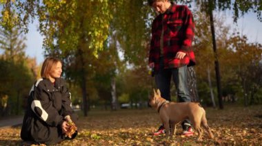 Bir adam parkta köpeğini gezdirirken, bir kadın sonbahar yaprakları ve ağaçlarla çevrili fotoğraf çekmek için diz çöker..