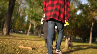 Sonbahar aylarında köpekleriyle parkta yürüyen insanların boş zamanlarının ve rahatlıklarının tadını çıkardıkları arka plan görüntüsü..