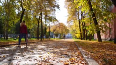 Güzel ve sakin bir sonbahar sahnesinde, huzurlu ve huzurlu bir yolun her iki tarafını çevreleyen canlı yapraklar sergilenir.