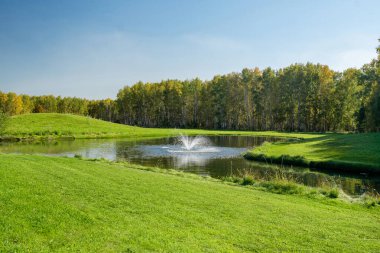 Huzurlu ve sakin bir gölet, yemyeşil çimenler ve ağaçlarla güzel çerçevelenmiş neşeli bir çeşme sergiler.