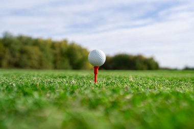 Canlı ve yemyeşil bir manzaraya karşı dizilmiş golf topunun detaylı bir yakın görüntüsü.