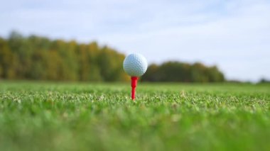 Canlı ve yemyeşil bir manzaraya karşı dizilmiş golf topunun detaylı bir yakın görüntüsü.