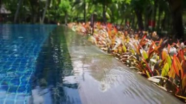 Palmiye ağaçları ve canlı bitkilerle dolu sakin bir tropikal havuz. Rahatlama ve gençleşme için ideal.