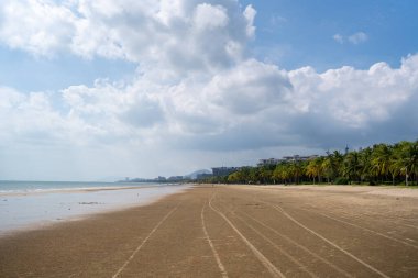 Parlak mavi gökyüzünün altında sakin kumlu sahilleri, yumuşak dalgaları ve yeşil bitkileri olan sakin bir kıyı şeridi.