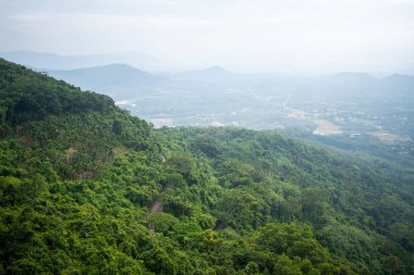 Güzel, sisli bir gökyüzünün altındaki görkemli dağları kaplayan gür, yemyeşil bitki örtüsünün huzurlu ve huzurlu manzarası.