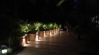 Güzel, sakin, yumuşak, aydınlık bir yol gece gökyüzünün altındaki yemyeşil ve yemyeşil yolda yol alır.