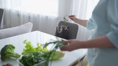 Modern bir mutfakta, bir kadın taze sebzeler hazırlarken meraklı kedisi de yanındaki sandalyeden izliyor.