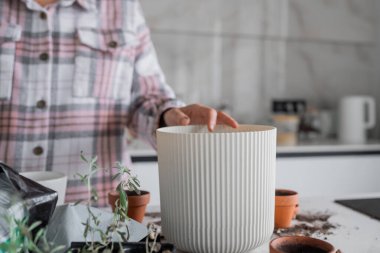 Bir insan, güzel bir mutfağa çeşitli bitkiler yerleştiriyor ve en son iç mekan bahçe trendlerini sergiliyor.