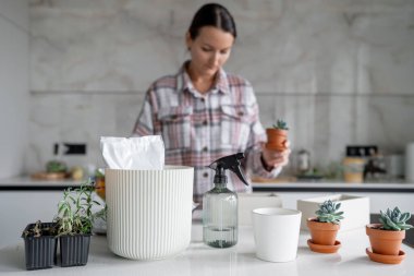 Yaratıcı bir insan şık ve modern bir beton ekicinin içinde göz kamaştırıcı ve güzel suları titizlikle düzenler.