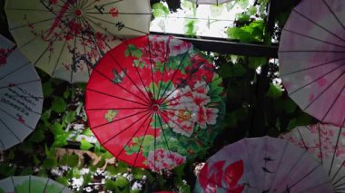 Çiçek desenleriyle süslenmiş canlı kağıt şemsiyeler, yeşilliklerin arasına asılmış, tuhaf bir atmosfer yaratıyor..