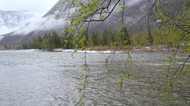 Görkemli dağlarla ve taze yeşilliklerle çevrili sakin bir nehir manzarası.