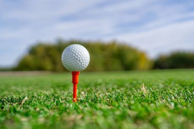 Canlı ve yemyeşil bir manzaraya karşı dizilmiş golf topunun detaylı bir yakın görüntüsü.