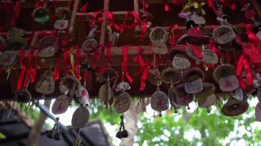 Yalong Körfezi, Çin - 14 Ekim 2024: yemyeşil, yemyeşil bir çevreyi süsleyen canlı kırmızı dua etiketleri umudu, emelleri ve dilekleri güzel bir şekilde sembolize eder