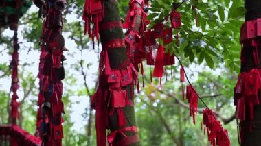 Yalong Körfezi, Çin - 14 Ekim 2024: yemyeşil, yemyeşil bir çevreyi süsleyen canlı kırmızı dua etiketleri umudu, emelleri ve dilekleri güzel bir şekilde sembolize eder