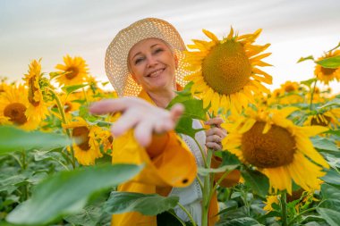 Neşeli bir kadın neşeli bir şekilde canlı ve renkli bir ayçiçeği tarlasına uzanır.