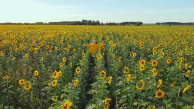 Sarı yağmurluklu bir insan neşeli bir ayçiçeği tarlasında yürür, güzelliği kucaklayarak..