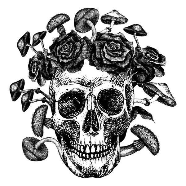 Cráneo Humano Con Setas Rosas Que Crecen Dibujo Mano Vector — Vector de stock