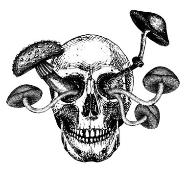 Mantarlı insan kafatası. Dövme için siyah ve beyaz el çizimi. Ölümü kişileştiren bileşim