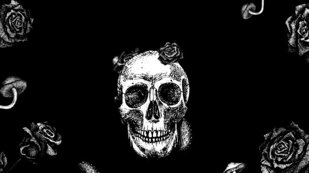Looped Background Skull Flowers Mushrooms Black White Animation Hand Drawings — Stock Video