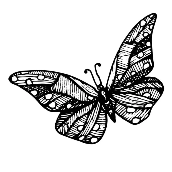 Στυλιζαρισμένη Πεταλούδα Διανυσματική Ζωγραφισμένη Σχέδιο Μιας Ασπρόμαυρης Πεταλούδας Για Τατουάζ — Διανυσματικό Αρχείο