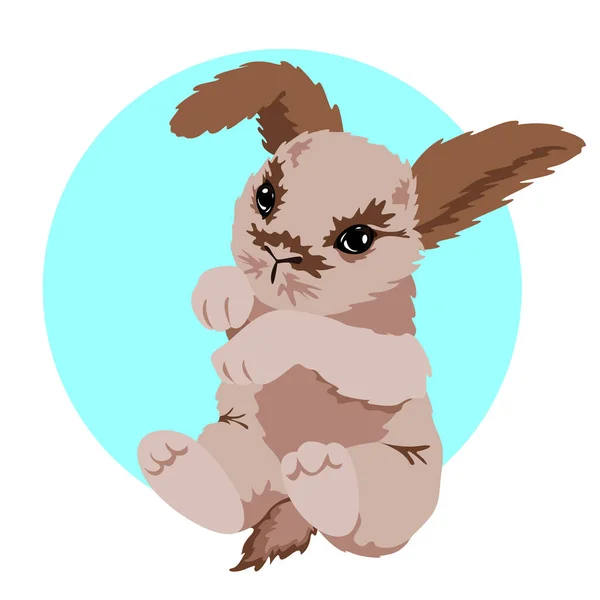 Pequeño Conejo Lindo Ligero Hogar Mascota Pequeño Vector Animal Ilustración — Archivo Imágenes Vectoriales