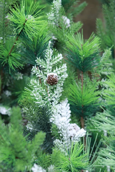 Árvores Natal Artificiais Com Neve Decorativa Cones Decoração Para Ano — Fotografia de Stock