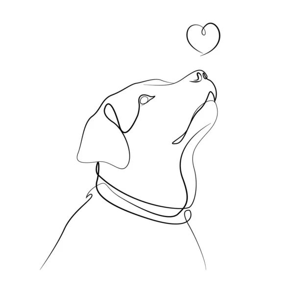 Linienzeichnung Von Labrador Hundevektorillustration — Stockvektor