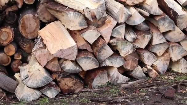 Drewno Opał Ułożone Stosie Siekanie Drewna Opał Siekierą Przygotowywanie Drewna — Wideo stockowe