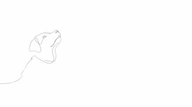 Linear drawing of a labrador, a dog and a heart. The dog is human friend. Gradually developing picture