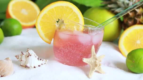 Alcoholic Drink Orange Slice Glass Refreshing Drink Background Ripe Fruits — Stock Video