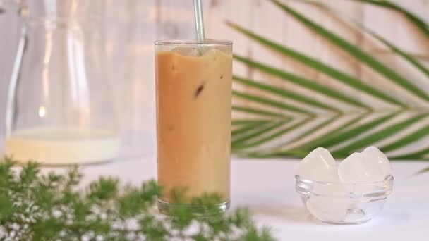 Coffee Ice Milk Composition Summer Invigorating Drink Stir Drink Straw — ストック動画