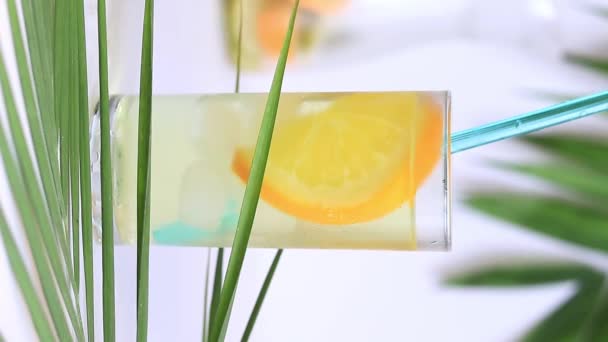 Lemonade Palm Leaves Drinking Cold Drink Straw Lemonade Ice Orange — Stok video