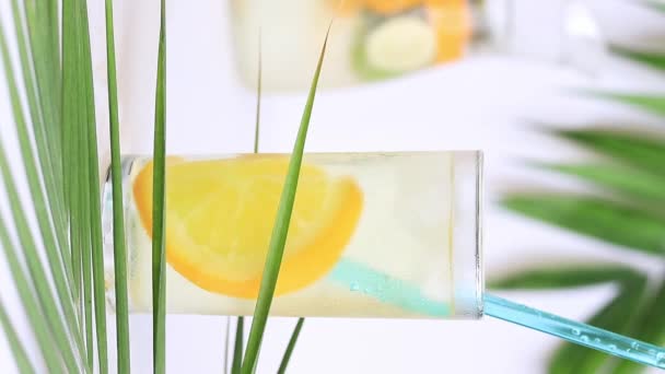 Homemade Lemonade Summer Cold Drink Background Palm Leaves Stir Lemonade — Vídeos de Stock