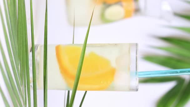 Lemonade Palm Leaves Drinking Cold Drink Straw Lemonade Ice Orange — 图库视频影像