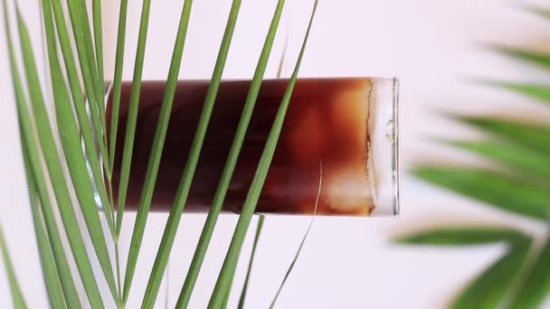 Iced Coffee Tall Glass Soft Drink Palm Leaf Invigorating Summer — Vídeo de Stock