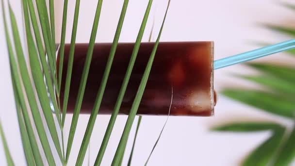 Iced Coffee Palm Leaves Stir Coffee Tall Glass Ice White — 비디오