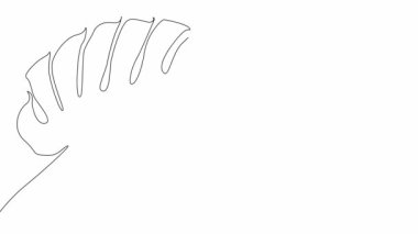 Monstera leaf. Linear drawing of a tropical plant on a white background, an emerging line and a green spot. Freehand drawing with black line