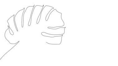 Monstera leaf. Linear drawing of a tropical plant on a white background, an emerging line and a green spot. Freehand drawing with black line