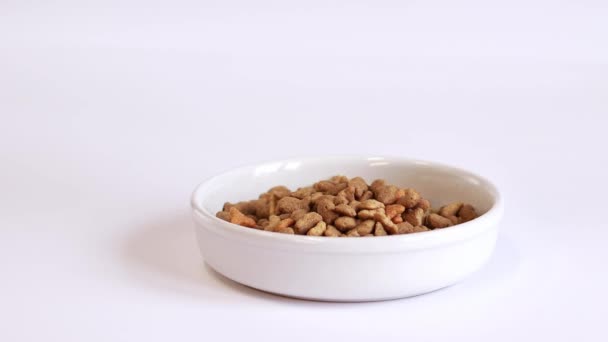 Dry Food Cats Feed Poured Large White Bowl White Background — ストック動画