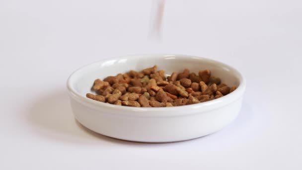 Nourriture Sèche Pour Chats Aliment Est Versé Dans Grand Bol — Video
