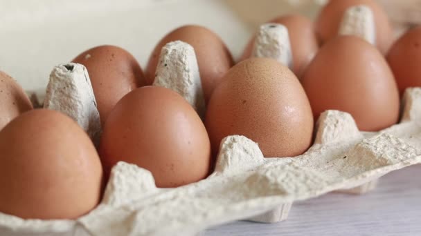 Αυγά Κοτόπουλου Χαρτόκουτο Νωπά Ωμά Αυγά Χάρτινο Δοχείο Αυγών Χέρι — Αρχείο Βίντεο