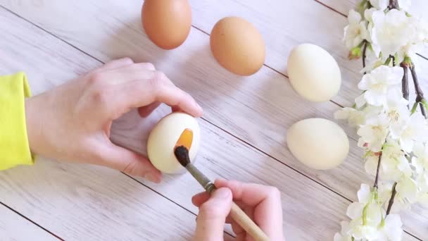 Gotowanie Jajek Wielkanoc Kolor Jaj Jednym Tonie Farbami Widok Góry — Wideo stockowe