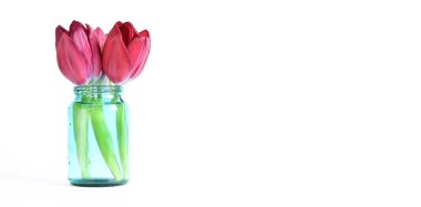 Red tulips in a jar of water. Tulips on a white background, a symbol of spring. Bouquet of fresh red flowers in a glass jar. Spring flowers for Valentine's Day, Mother's Day or Women's Day