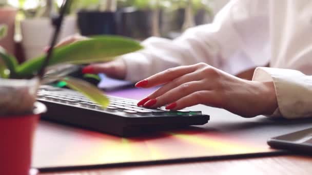 Die Hände Auf Der Tastatur Aus Nächster Nähe Die Arbeit — Stockvideo