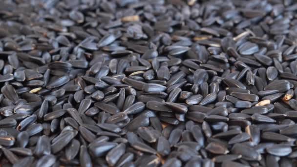 Roasted Sunflower Seeds Healthy Food Sunflower Seeds Harvest Heap Dried — Stock Video