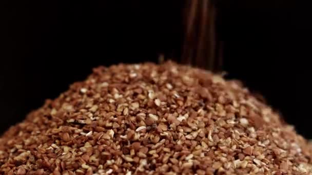 Rychle Rostoucí Pohanka Krupice Pohankové Pšenice Padají Hromadu Černém Pozadí — Stock video