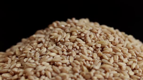 Pearl Orz Groats Cerealele Toarnă Fundal Negru Turnarea Boabelor Orz — Videoclip de stoc