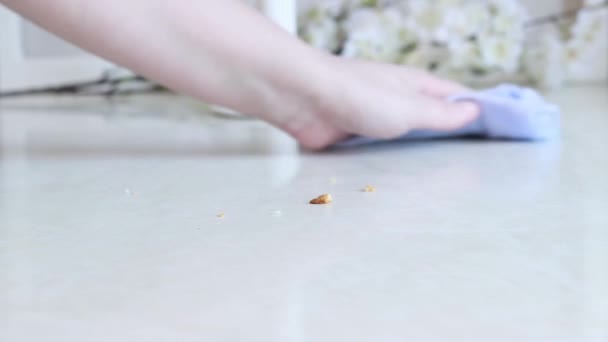 Nettoyage Surface Table Partir Miettes Une Femme Nettoie Maison Nettoie — Video